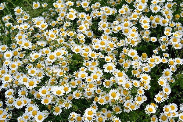 Menopausa: ecco gli stili di vita necessari per poter fare a lungo la terapia ormonale sostitutiva